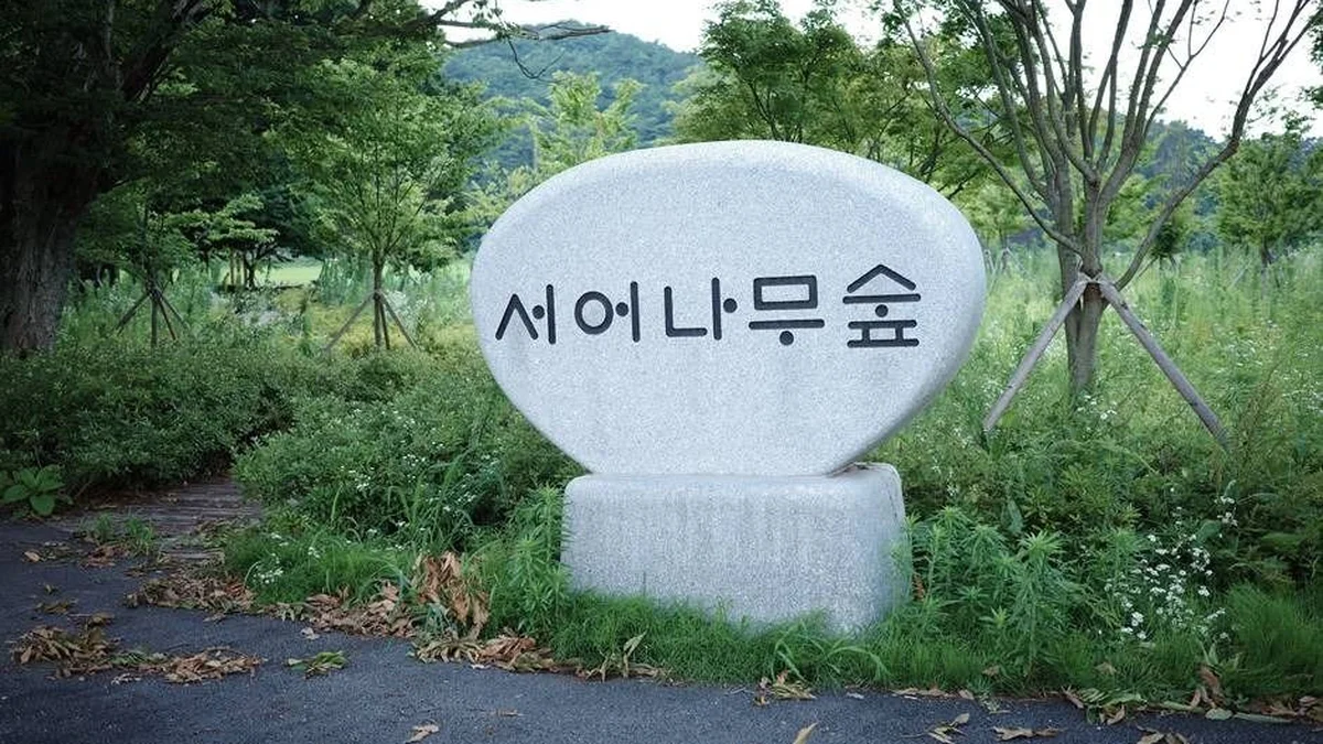 전북 서어나무 숲, 남원시 자연 산책로와 여름휴가 명소