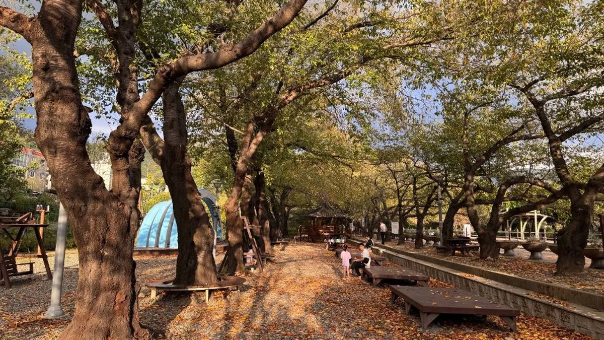 경화역공원