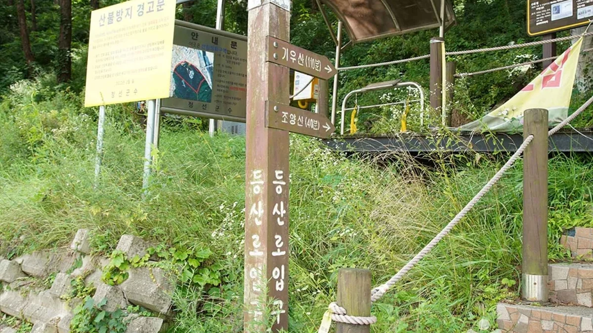조양산(정선)
