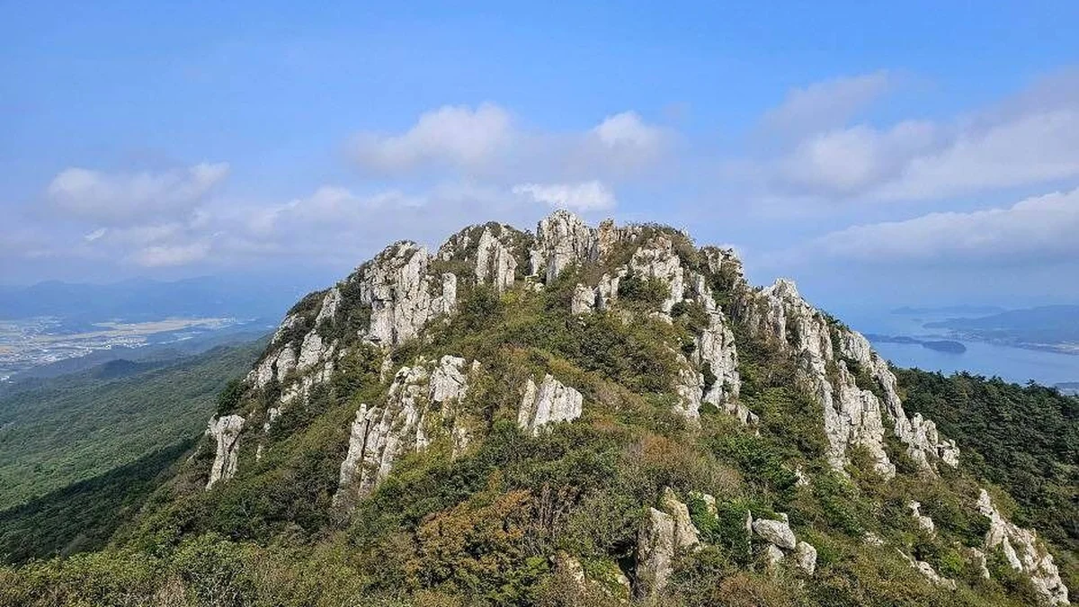 전남 달마산 축제, 여름에 즐기는 산과 바다의 향연