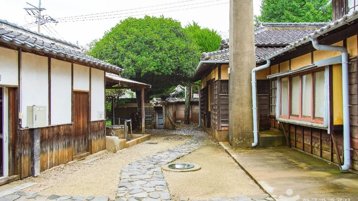 군산 영화의 거리 축제, 영화 팬들을 위한 특별한 여름