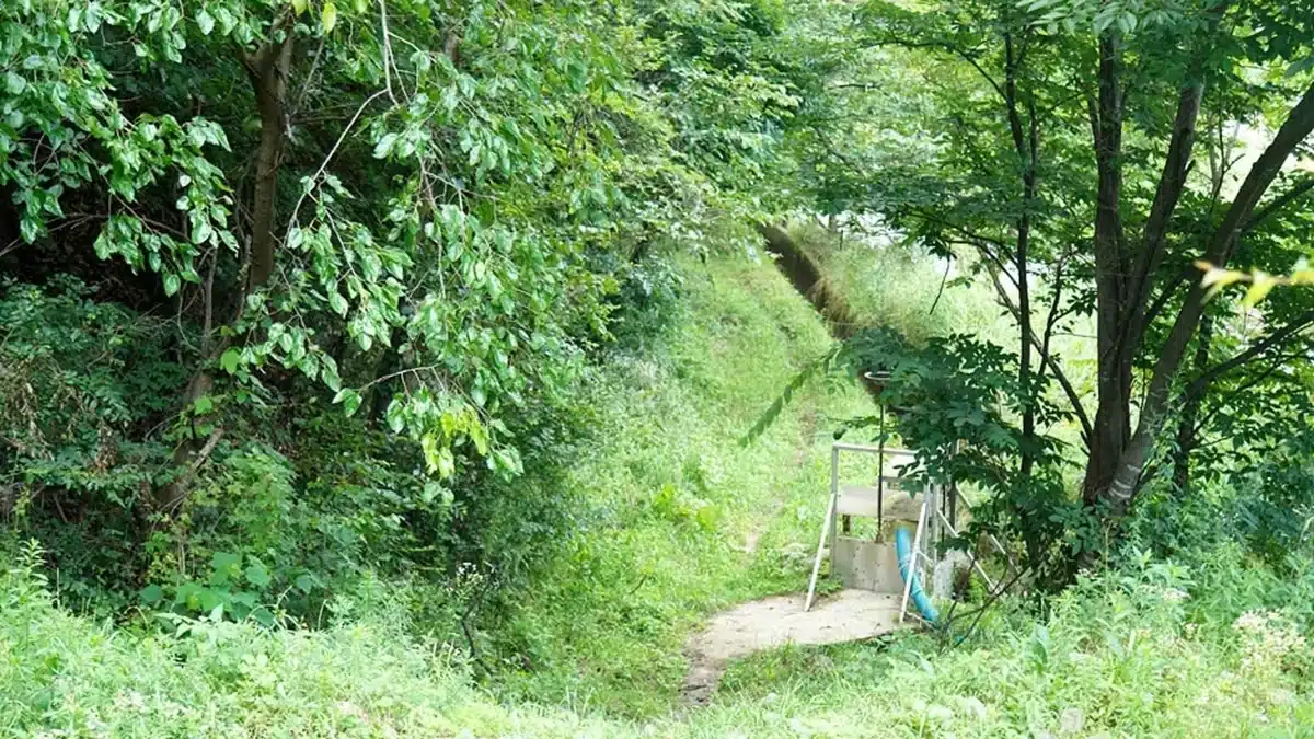 강원 덕가산 축제, 여름 필수 방문지로 떠오른 자연의 매력