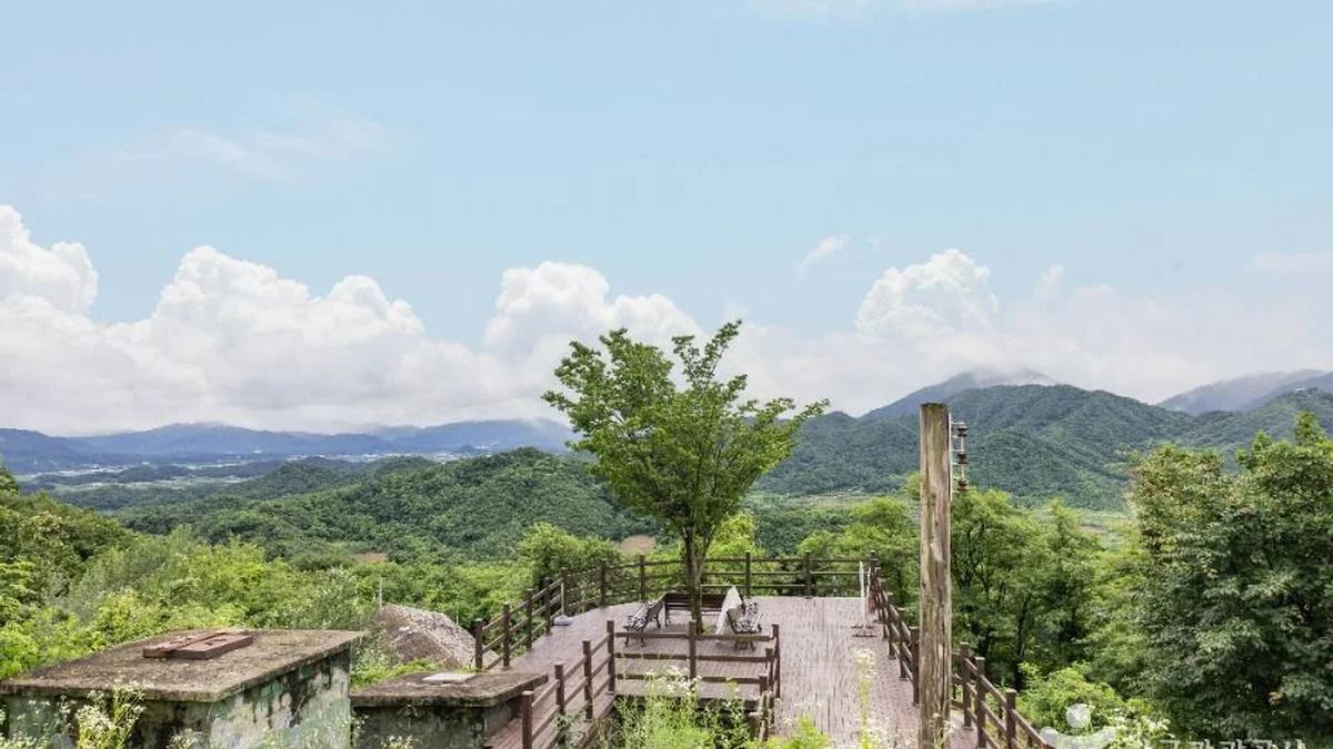 강원 소이산 축제에서 만나는 여름 자연의 매력