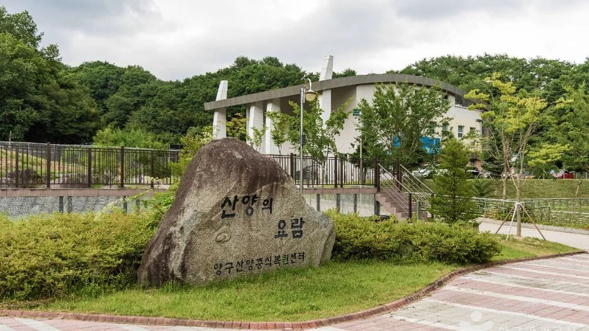강원 양구 산양·사향노루센터 숙소, 고산 동물 체험과 여름휴가 추천