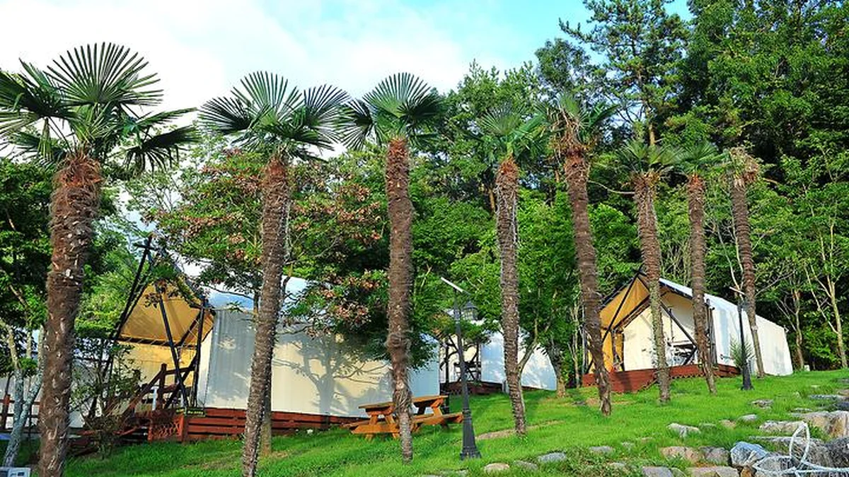 광주 하늘빛수목원, 자연 속 힐링 명소 가볼만한곳