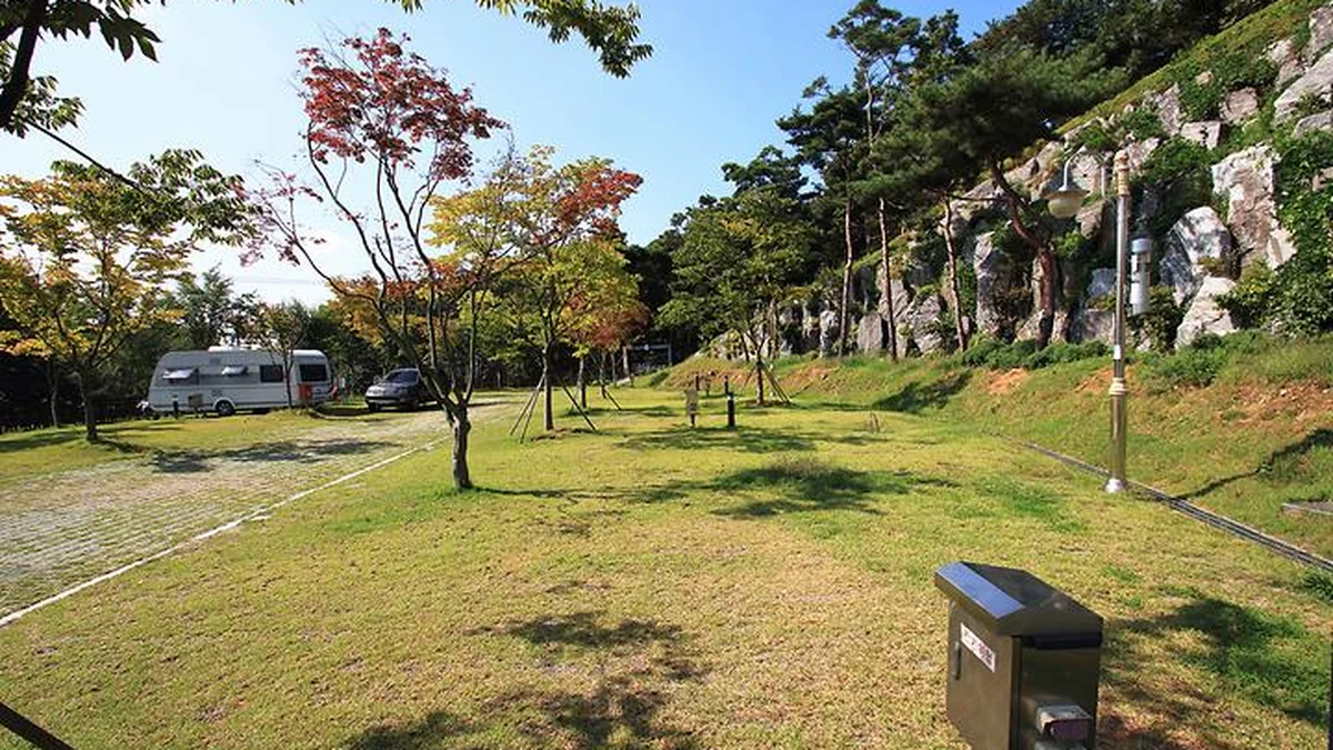 충남 예당관광지 국민여가캠핑장, 반려견과 여름휴가 즐기기