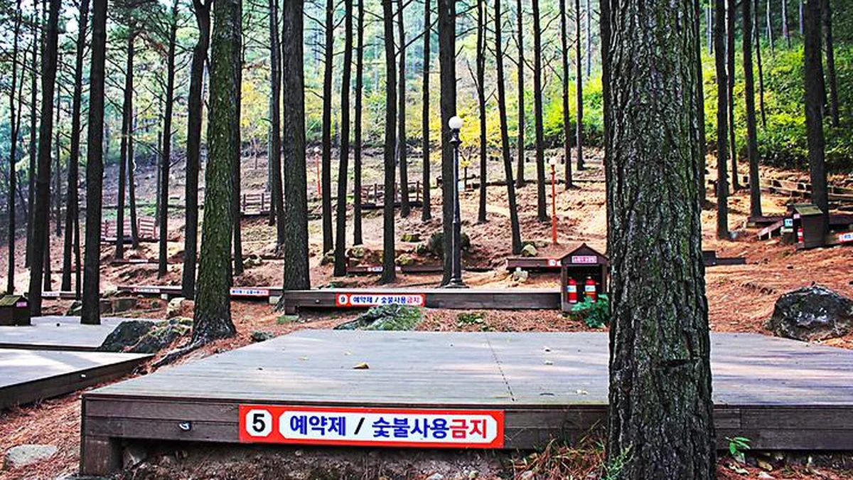 제암산자연휴양림 야영장 드라이브, 광주 자연 체험 추천