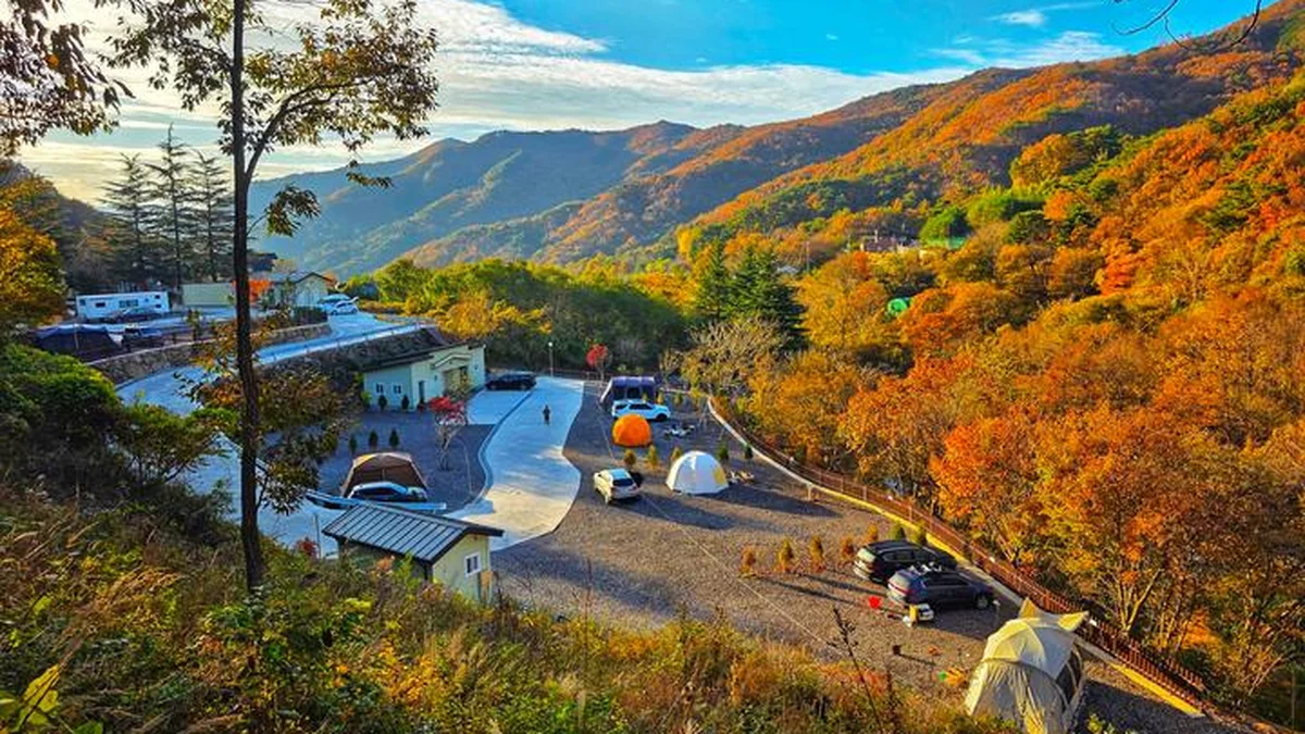 광주 서진이네 오토캠핑장, 백운산 계곡 속 여름 힐링 여행