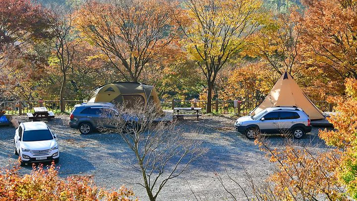 광주 흑석산 자연휴양림, 반려견과 함께하는 여름휴가
