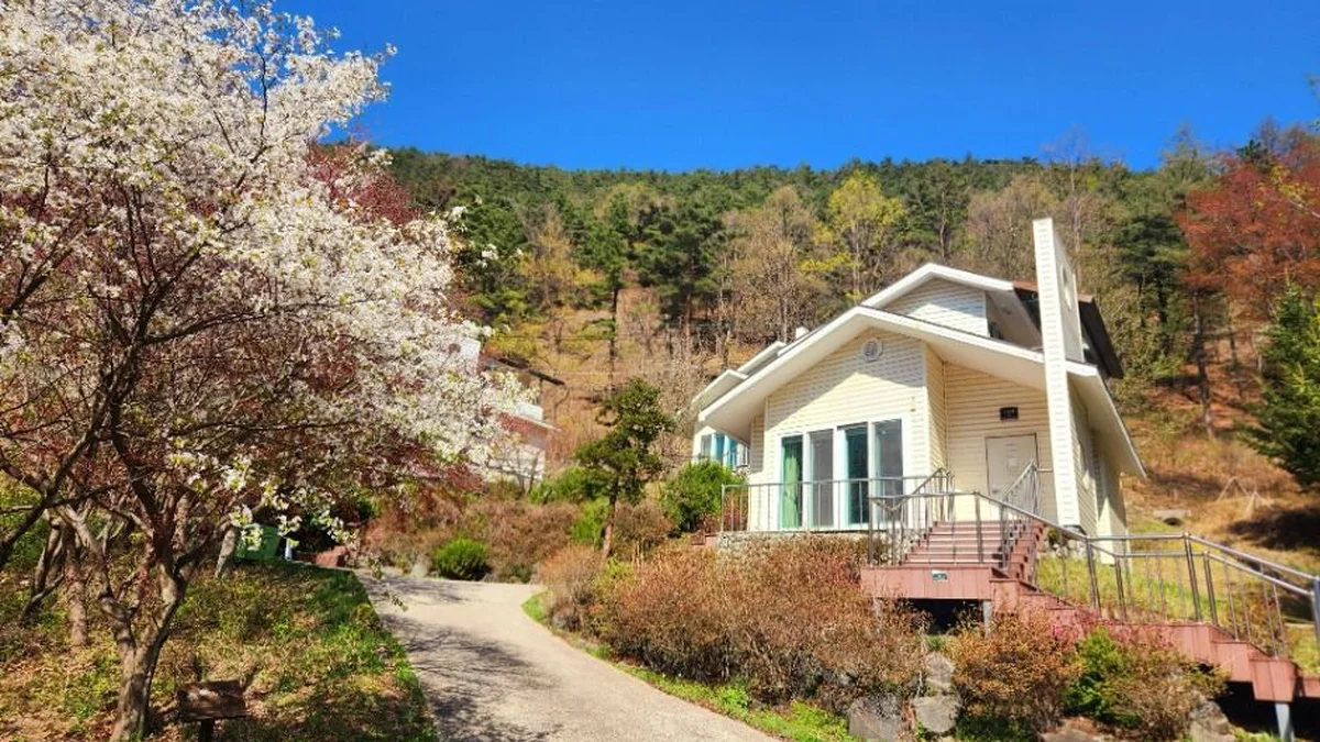 충북 국립속리산말티재자연휴양림 카페, 자연과 여유의 만남