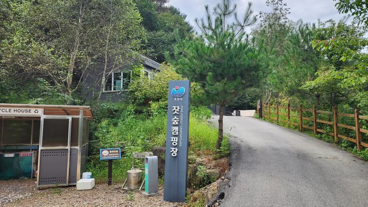 경기 포천 잣숲캠핑장, 여름휴가 캠핑 최적지