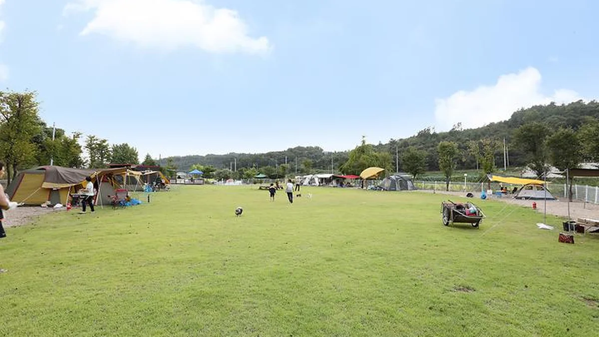 충남 피플앤독 힐링캠핑장, 반려견과 함께하는 예산 캠핑