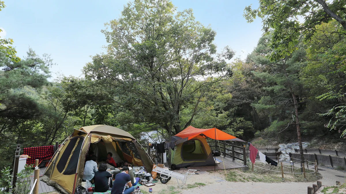 영인산자연휴양림 숲속야영장