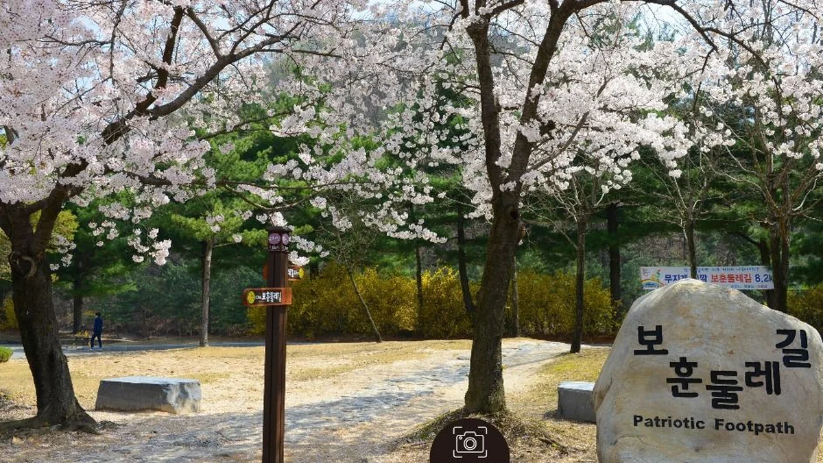 대전 국립대전현충원 보훈둘레길 체험, 역사와 자연 산책