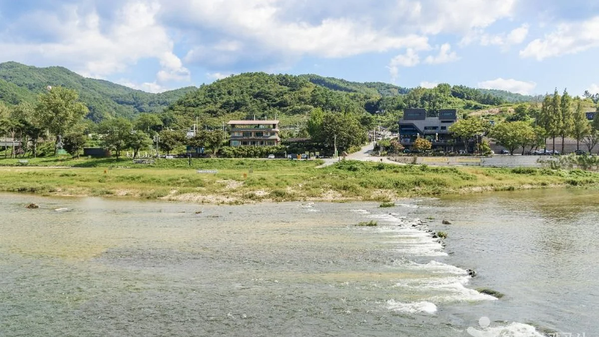 충남 기러기공원 체험, 자연 속 여름 물놀이 즐기기