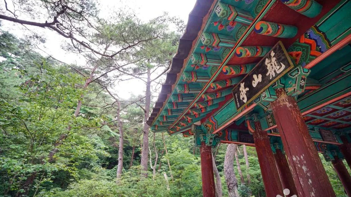 경남 농산정 체험, 물놀이와 자연 속에서 즐기는 여름휴가