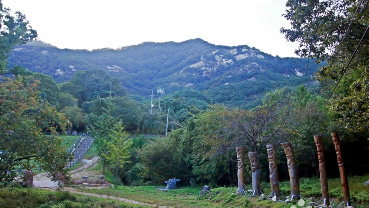 충북 천태산 체험, 영동군서 만나는 자연과 역사