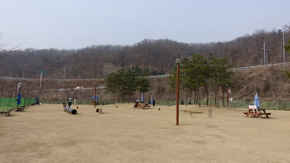 경기 삼막애견공원 체험, 반려견과 특별한 하루 보내기