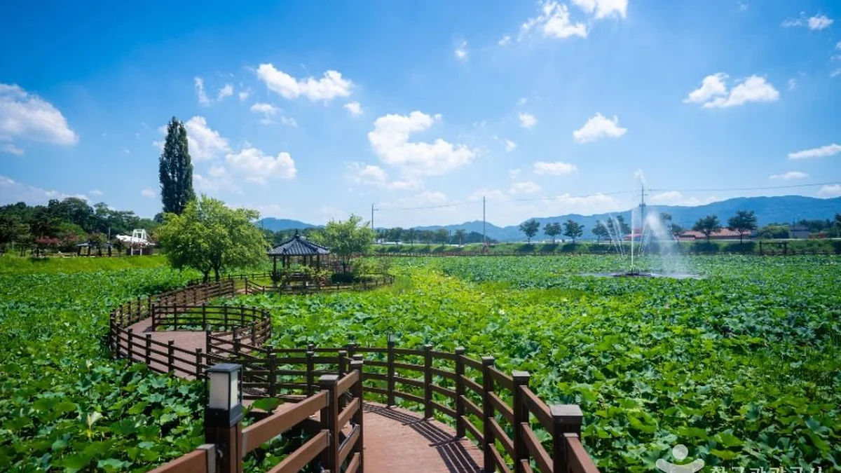 경북 뒷미지수변공원 체험, 여름휴가 물놀이와 산책 명소
