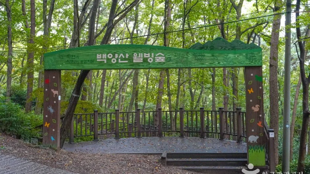 부산 백양산 웰빙숲 체험, 도심 속 자연 산책로