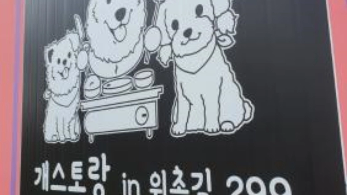 강원 강릉 개스토랑in위촌길299, 신선한 현지 재료 맛집