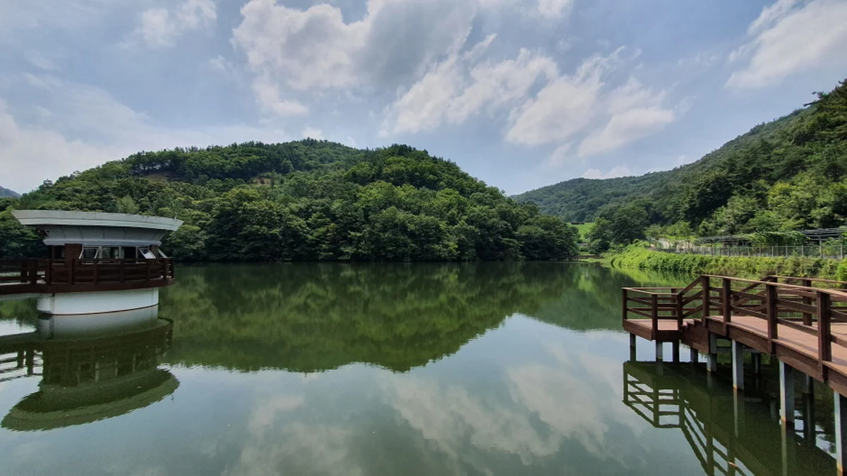 충남 금학생태공원, 여름 물놀이와 자연 탐방 추천
