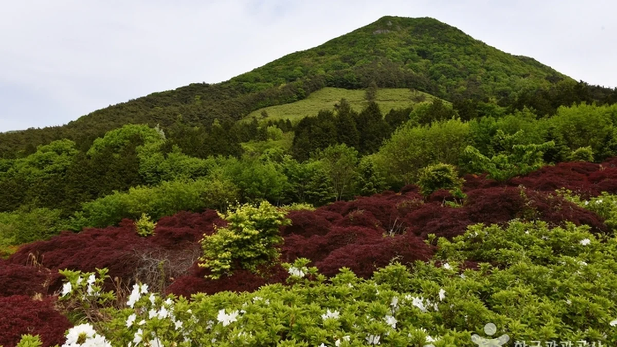 광주 만연산, 전남 여름휴가 가족 여행지로 추천