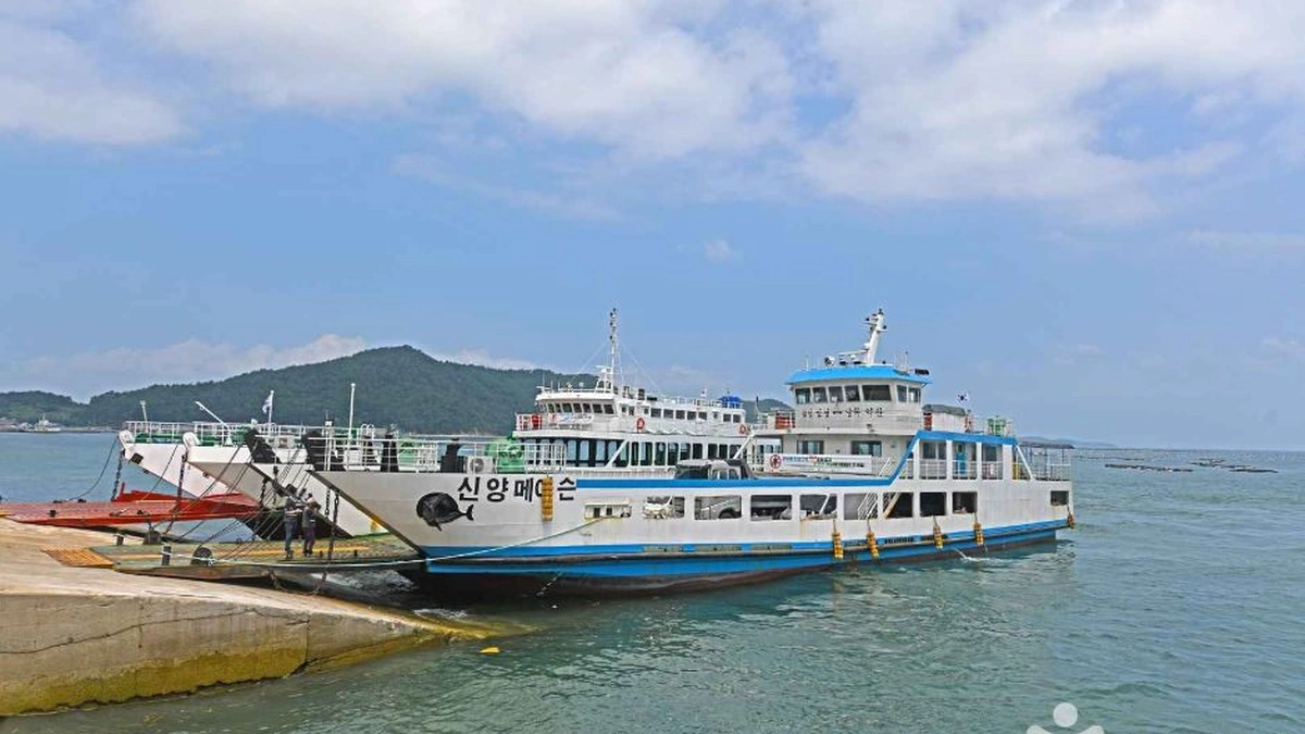 전남 당목항 가볼만한곳, 바다와 함께하는 광주 근교 여행