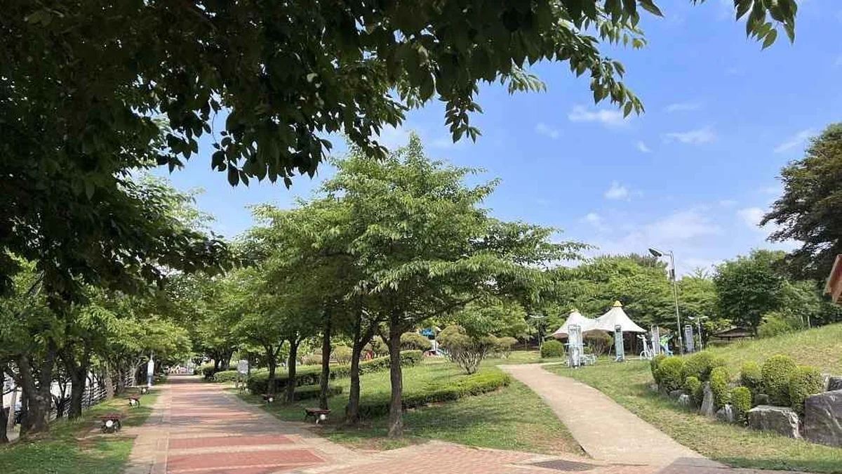 경기 반월공원 축제, 여름 물놀이와 다양한 행사 가볼만한곳