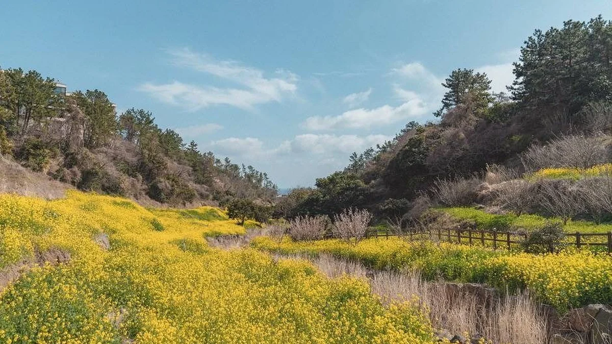 제주 엉덩물계곡 축제, 여름 물놀이와 자연 체험