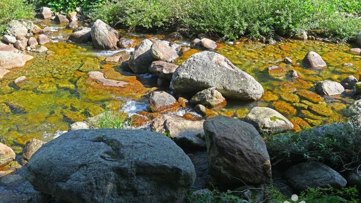 충북 새밭계곡 축제, 단양 자연 속 여름 여행 코스