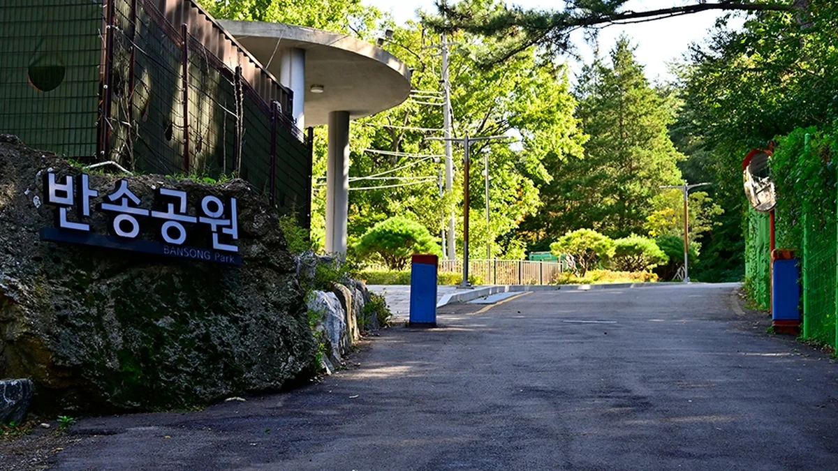 부산 반송공원 여름 축제, 가족 물놀이 명소 추천