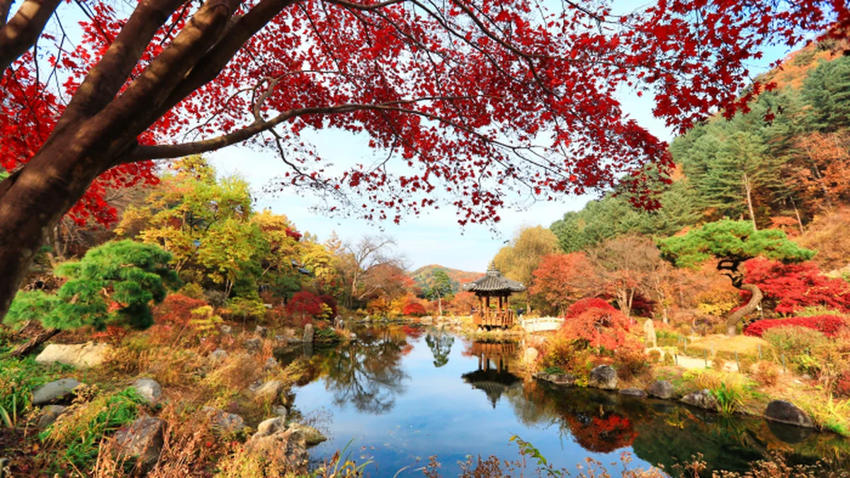 경기 아침고요수목원 축제, 자연과 힐링의 여행지