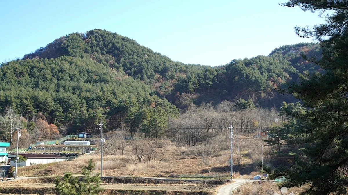 강원 청대산 축제, 여름휴가 명소 방문 전 필수 정보