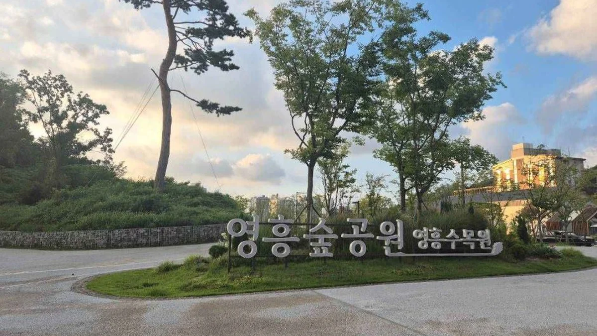 경기 영흥숲공원 숙소, 자연 속 편안한 여름휴식