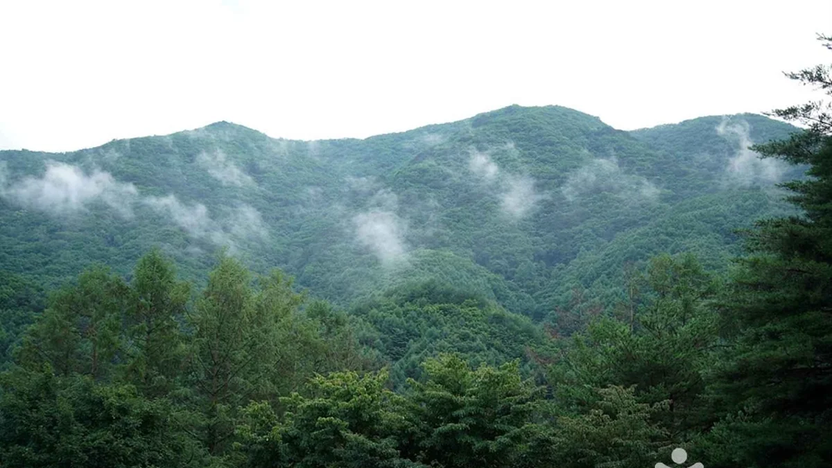 강원 선달산(영월) 숙소, 여름휴가 맞춤 자연 속 쉼터