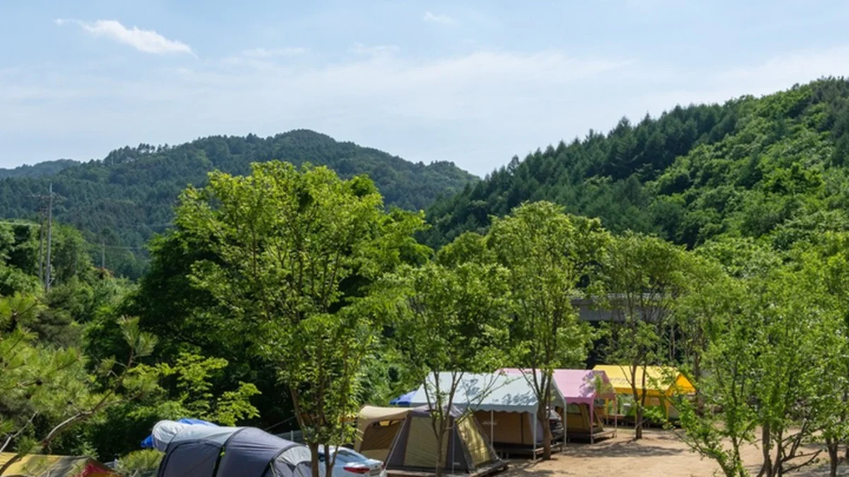 강원 늘편한캠핑장, 청정 자연 속 여름휴가 명소