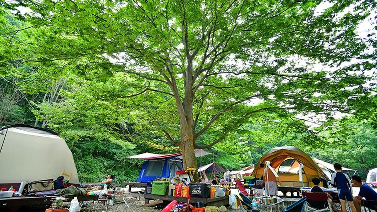 전북 국립운장산자연휴양림 야영장, 고요한 숲속 캠핑 여행