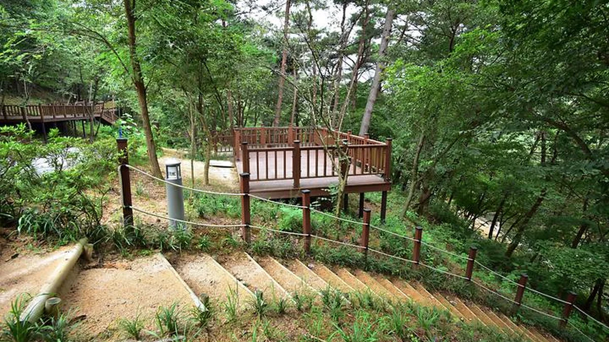 광주 청계동 솔바람야영장, 여름 캠핑과 물놀이 명소