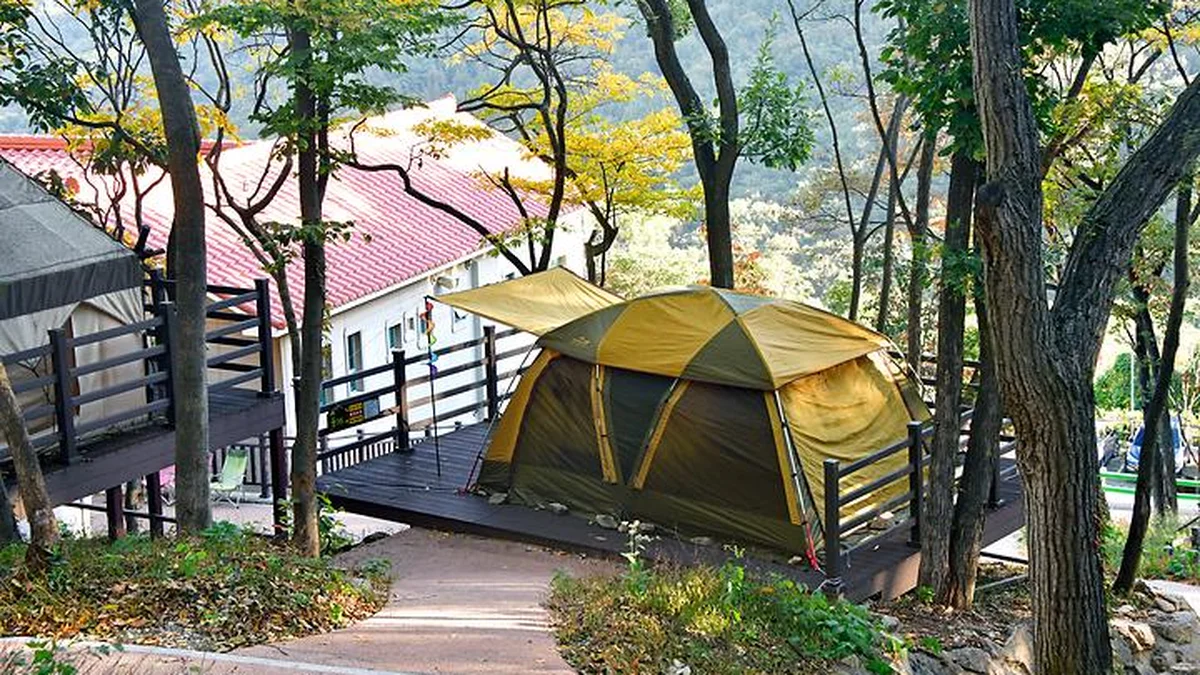 (주)신어산 자연숲캠핑장 축제, 경남 여름철 힐링 명소