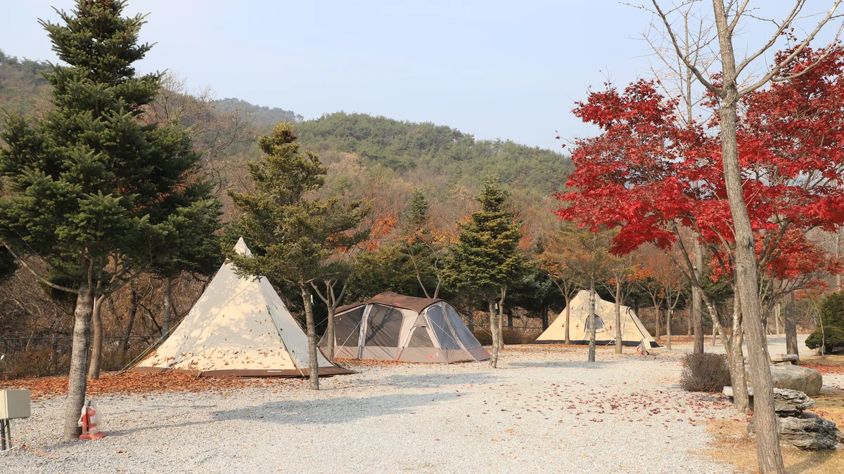 프라임캠핑장