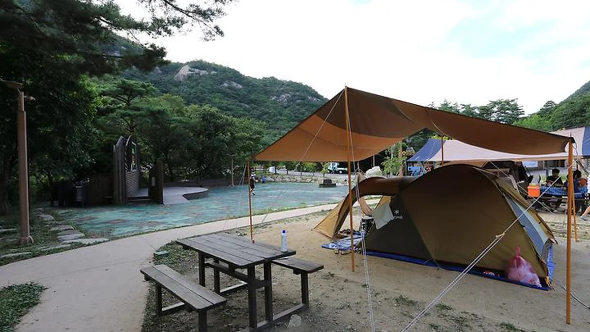 충북 월악산국립공원 닷돈재자동차야영장 여름 캠핑 축제