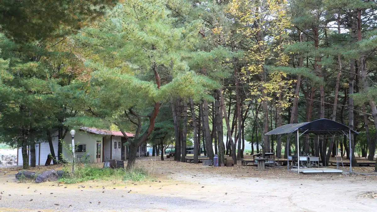 진부(오대산)관광농원