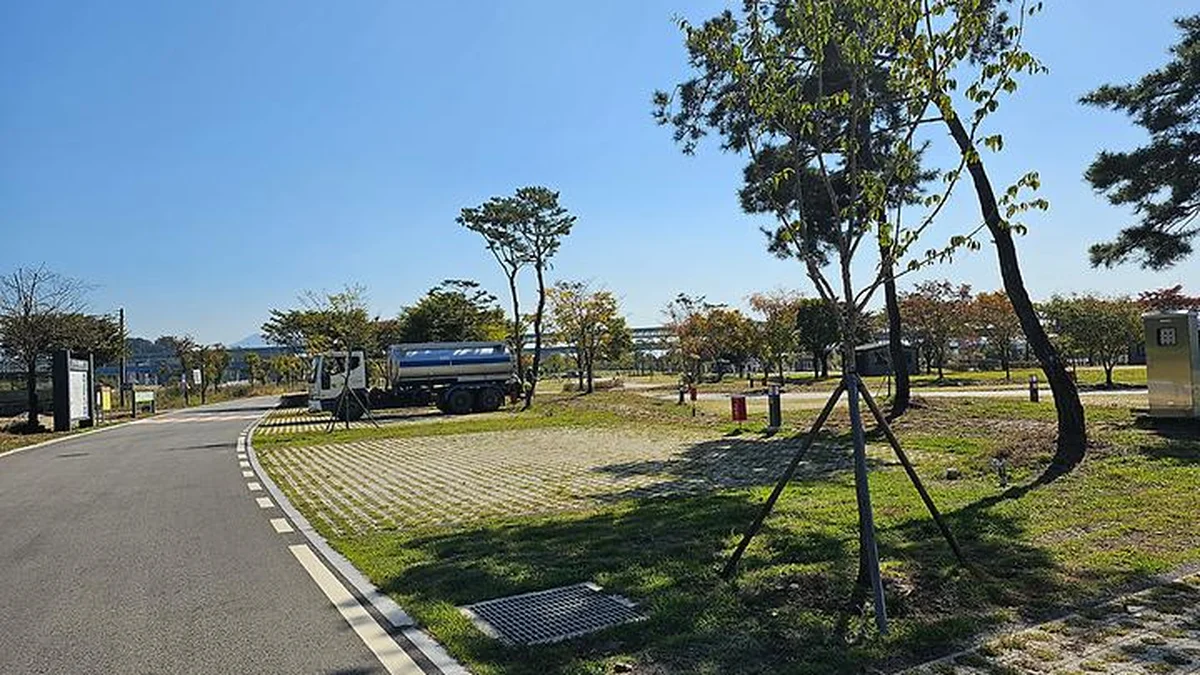 충주 목계솔밭 캠핑장, 자연 속 특별한 캠핑 여행