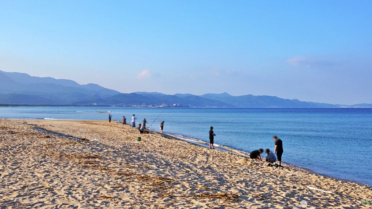 경북 대진해수욕장 카페, 잔잔한 바다와 함께하는 여유