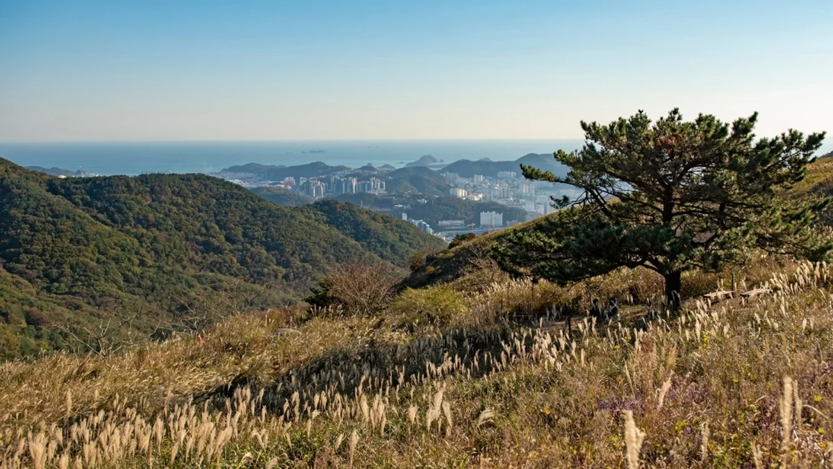 승학산