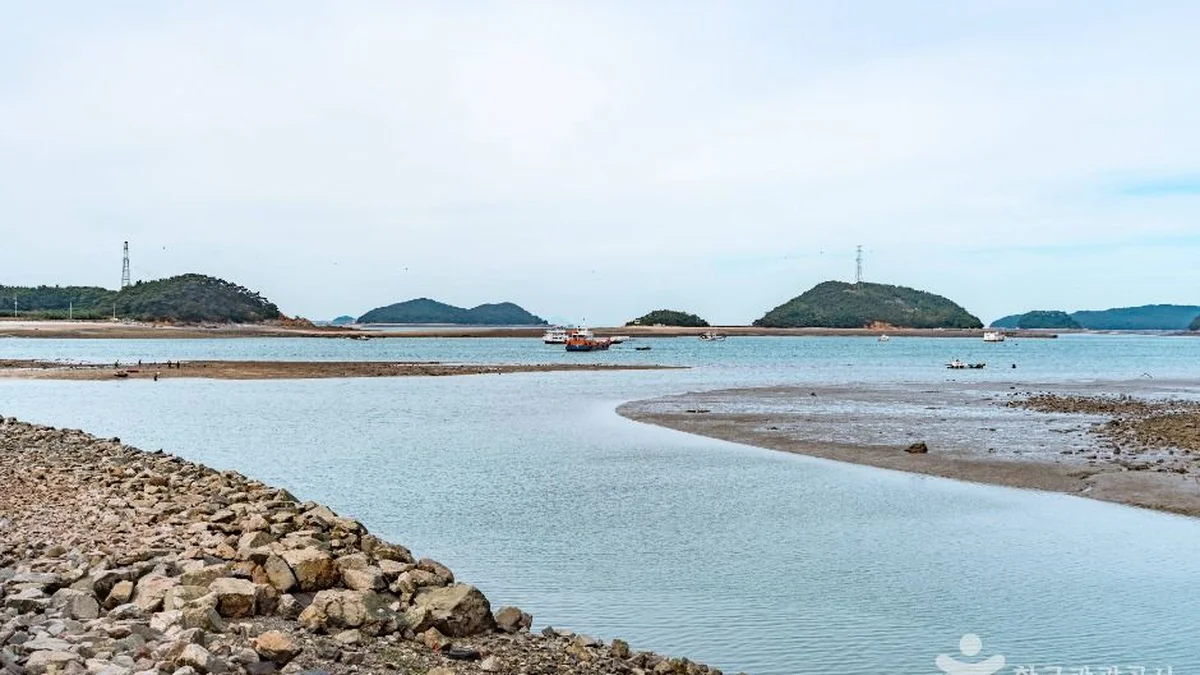 충남 도비도항 카페 여행, 자연 속 힐링 스팟에서의 여유