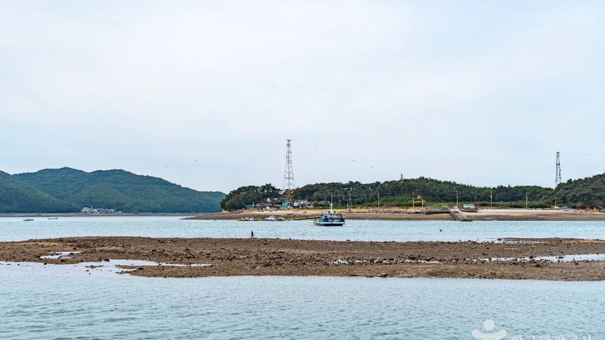 도비도항