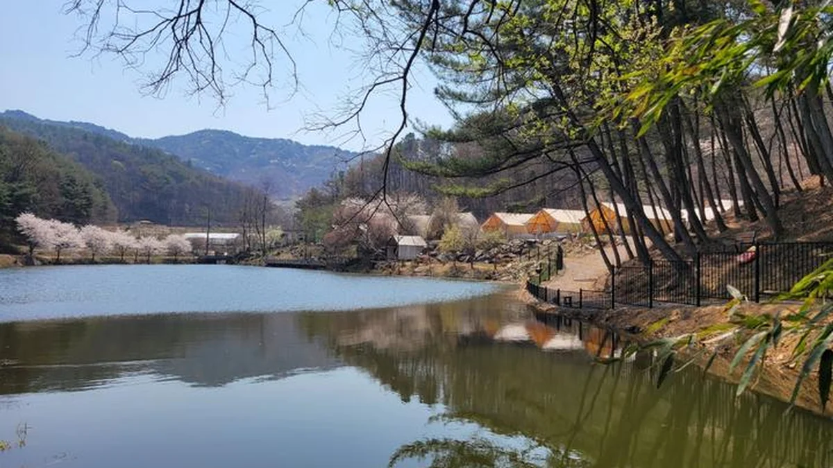 충남 판앤팜 치유정원 캠핑장, 호수와 숲속 글램핑 체험