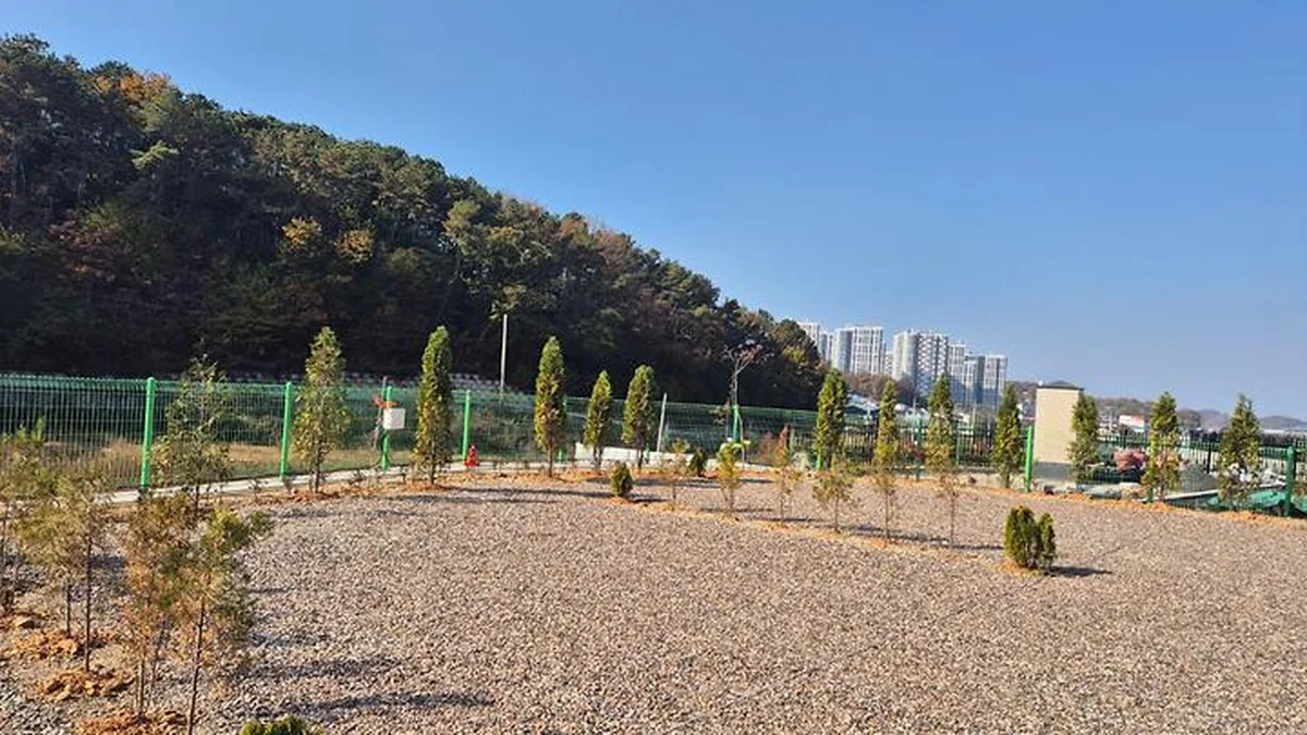 경기 파주 성수캠핑장, 서울 근교 자연 캠핑 추천지